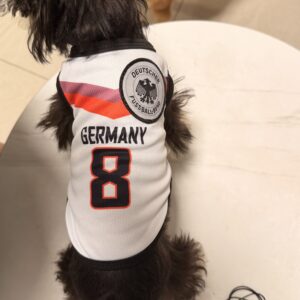 argentina no.10 soccer jersey for dogs & cats | breathable mesh pet football shirt